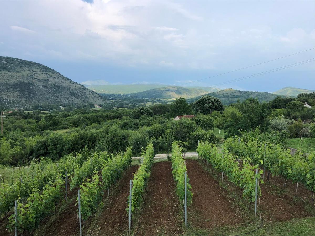 Green Silence - Iva Danilovgrad Екстер'єр фото